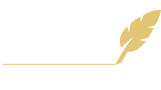 Vivo Expert - biuro rachunkowe Łódź